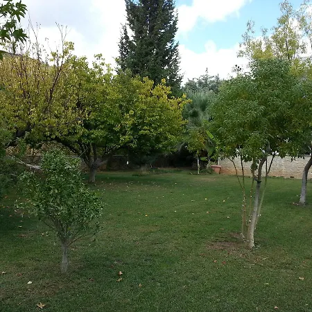 White * Datca