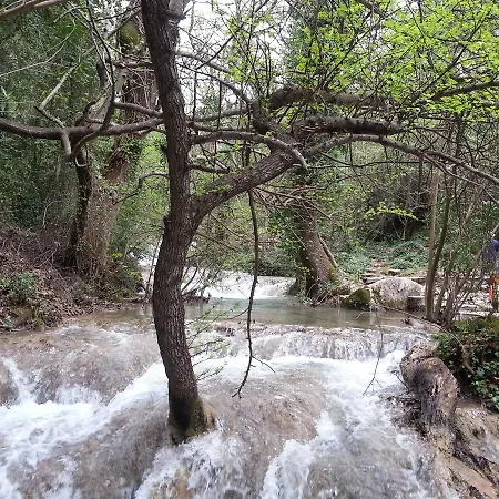 White Datca